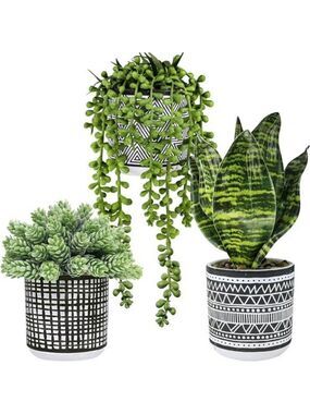 Set of 3 small artificial succulent potted plants faux greenery for home office